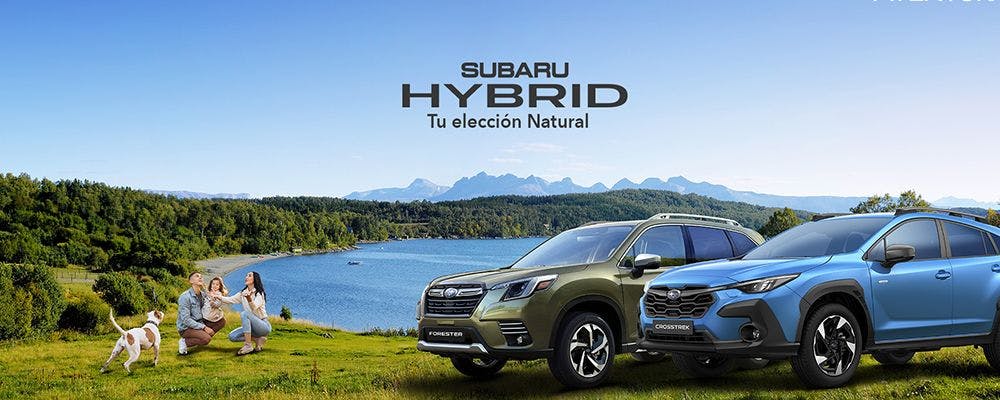 Subaru's impressive DOOH campaign in Colombia with Taggify