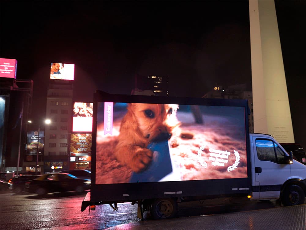 Eukanuba se adueñó del Obelisco en una exclusividad con Taggify