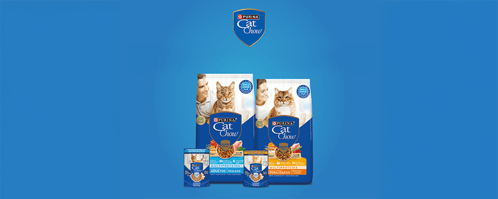 Purina Cat Chow celebró sus 60 años con una campaña pDOOH en la plataforma de Taggify