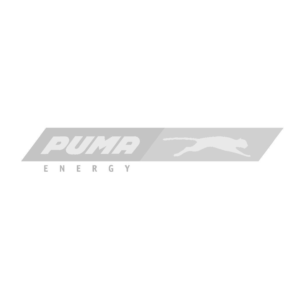 Puma Energy
